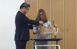 ハンドリング教室のイメージ